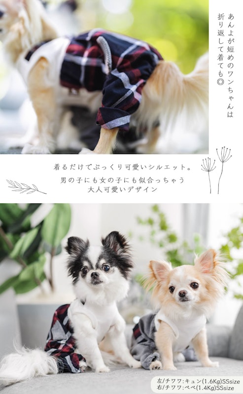 コーデュロイセットアップ 4
