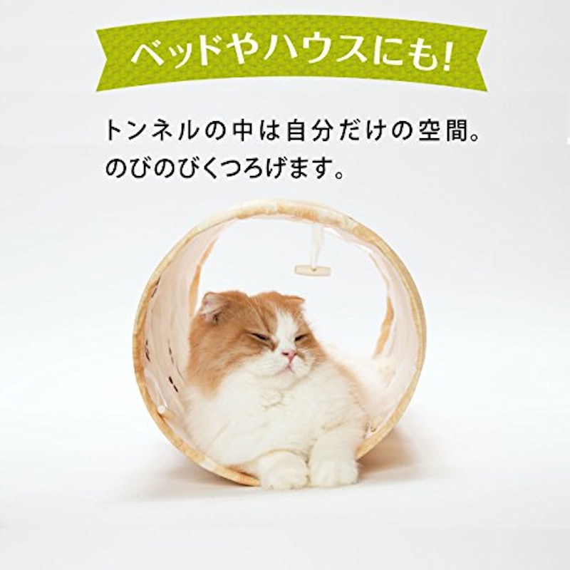 キャットトンネルスパイラル 1