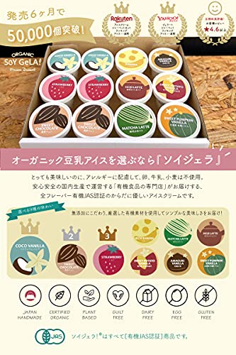 オーガニック豆乳ジェラート チョコレート 2