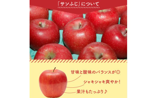 訳あり りんご サンふじ 4