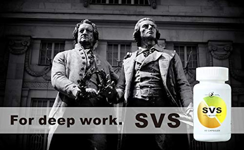 SVS 2