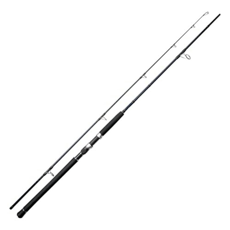 SHORE JIGGING HEAVY GAME ROD 1