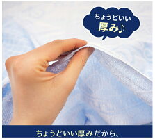 タオルシーツ 7