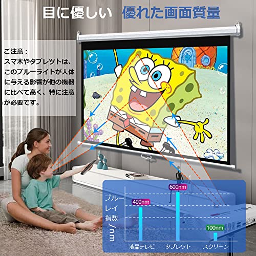 プロジェクタースクリーン ロール式 2