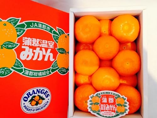 蒲郡温室みかんM秀品 12玉 1