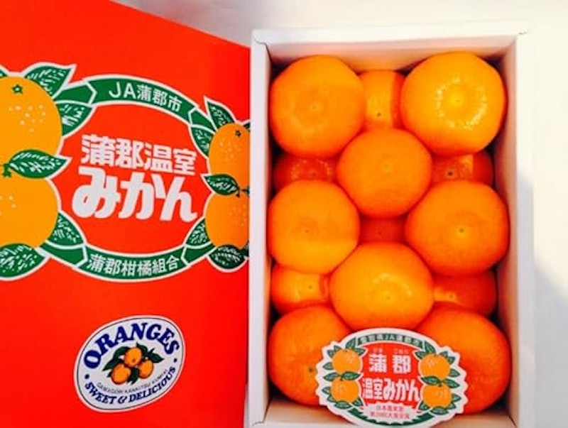 蒲郡温室みかんM秀品 12玉 1