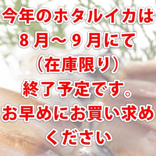 ホタルイカ 2