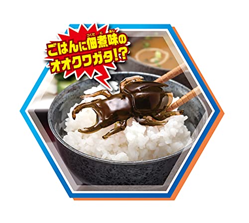 グミップルラボ 研究発表DX 10