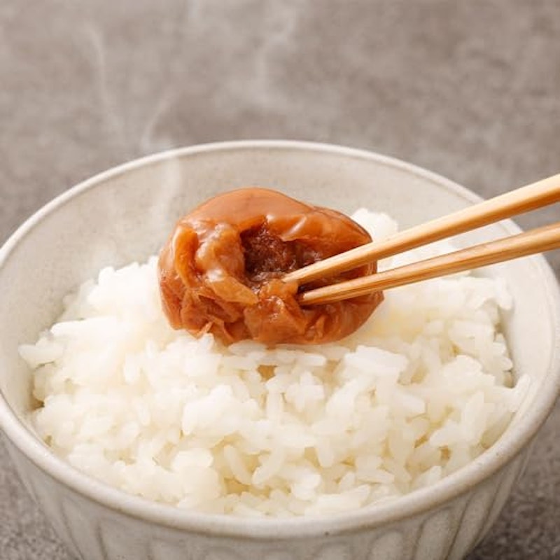 紀州南高梅 つぶれ梅 はちみつ 3