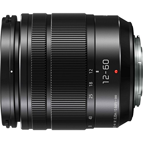 LUMIX G VARIO 12-60mm / F3.5-5.6 ASPH. / POWER O.I.S. 3