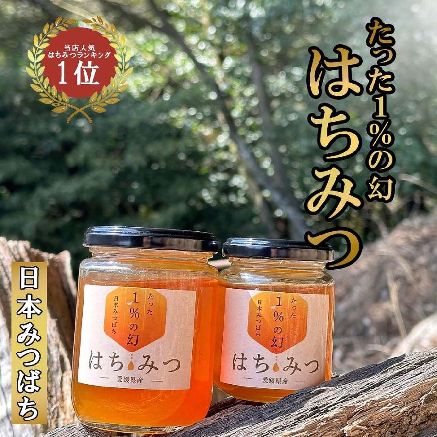 菌ちゃんげんきっこ 1