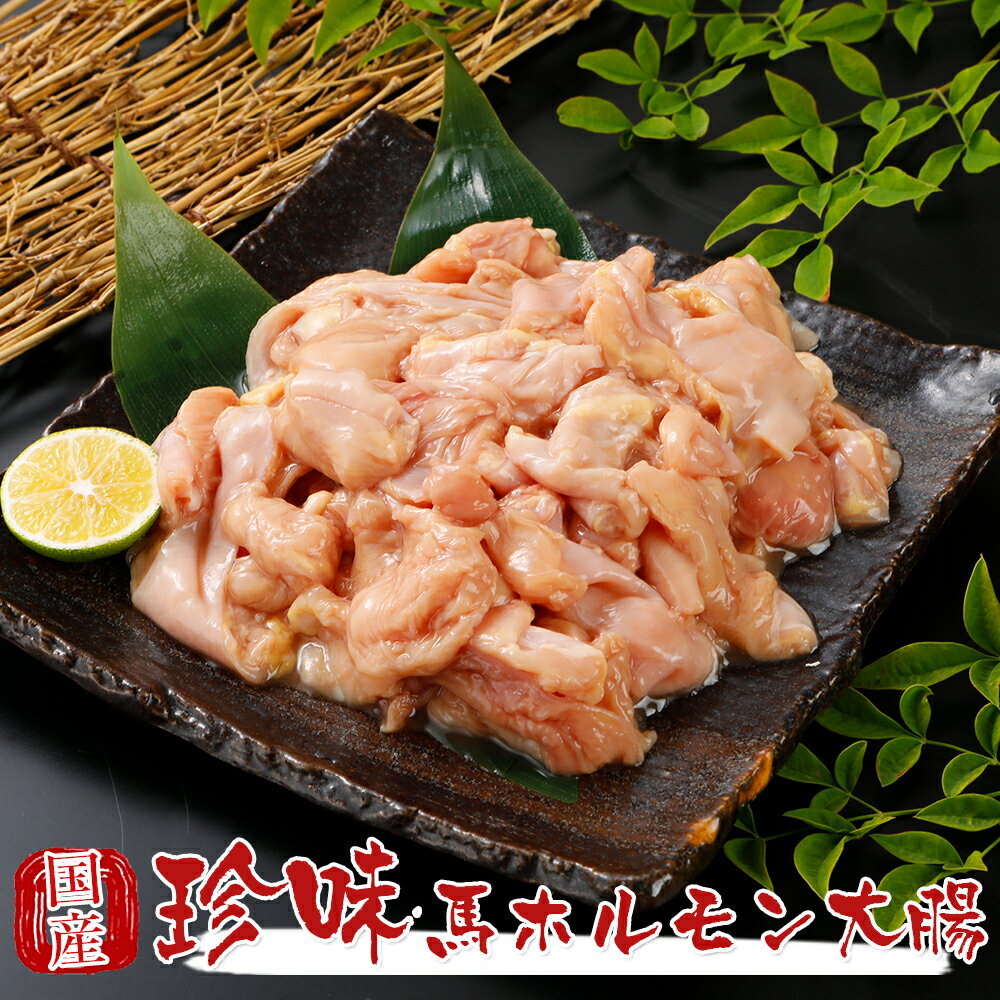 馬ホルモン大腸 1