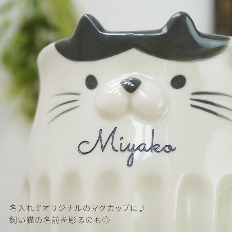 しのぎのネコマグ 2