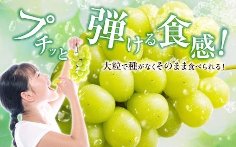 岡山県産シャインマスカット「晴王」1房 3