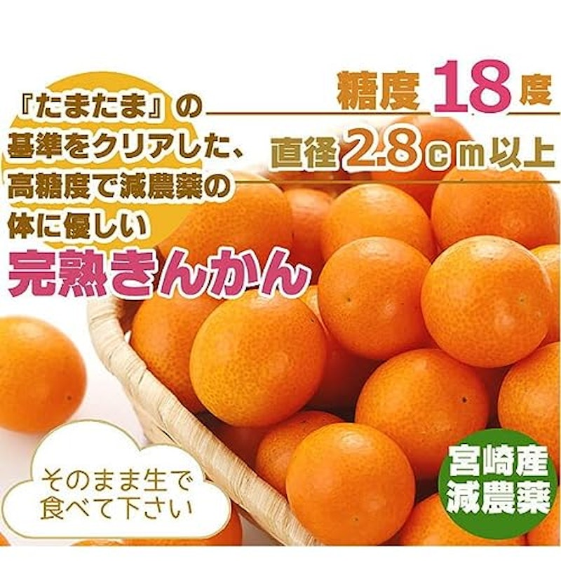 宮崎産 完熟 きんかん 2