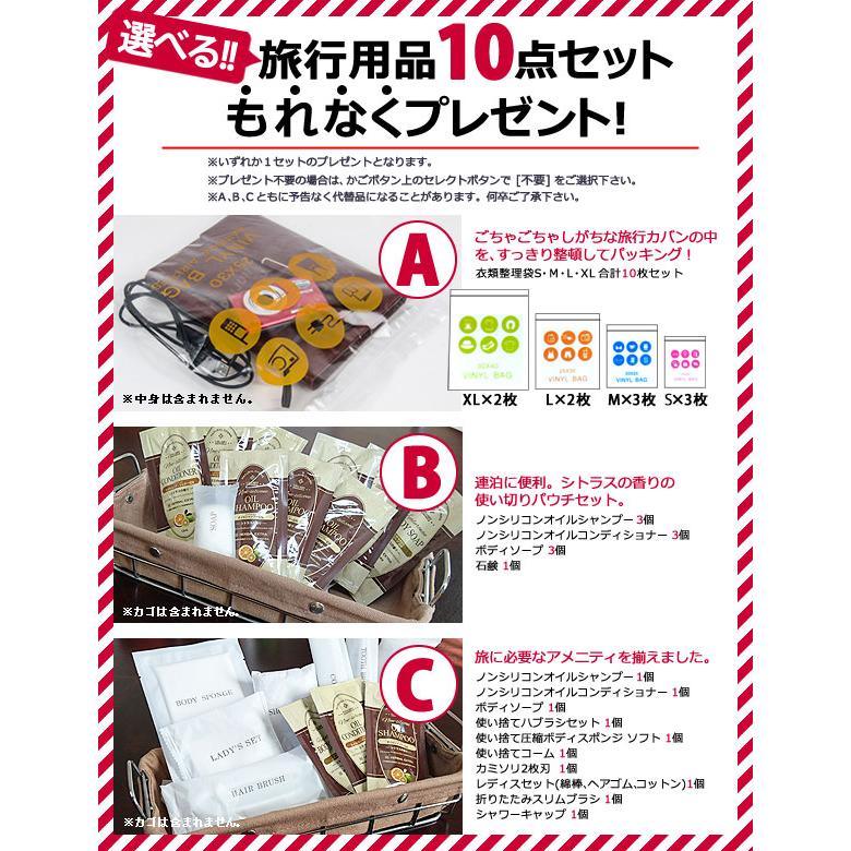 スーツケース 29