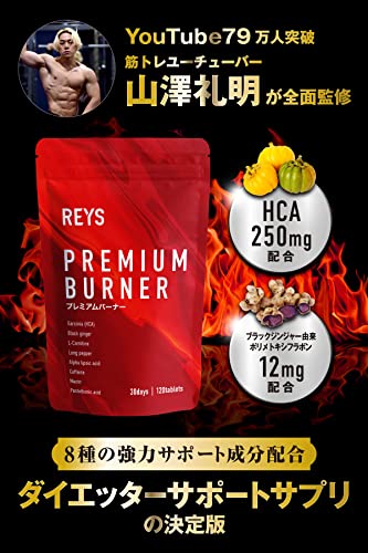 PREMIUM BURNER 2