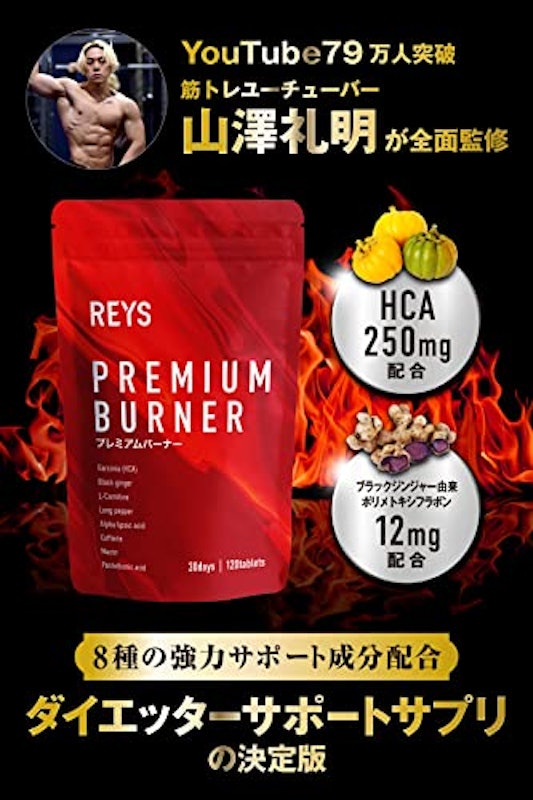 PREMIUM BURNER 2