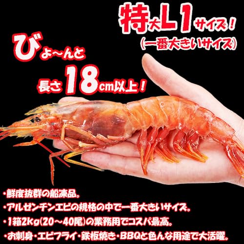 アルゼンチンエビ 3