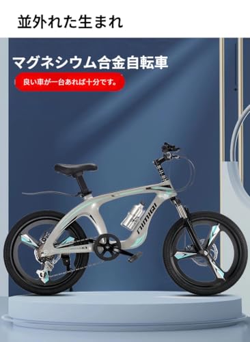 ファットバイク 2