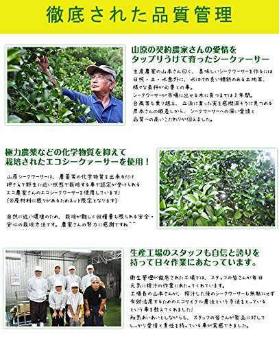 山原シークヮーサー 3