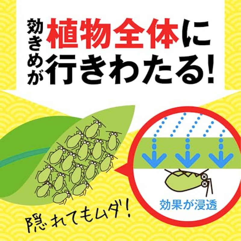 いろいろな植物つよし 5