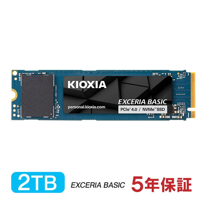 BASIC NVMe SSD 1