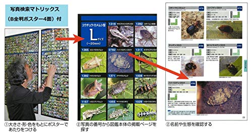 昆虫探検図鑑1600 3