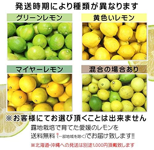 愛媛県産 わけありレモン 2