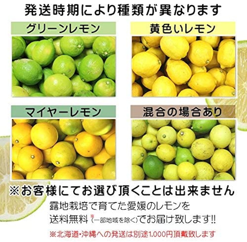 愛媛県産 わけありレモン 2