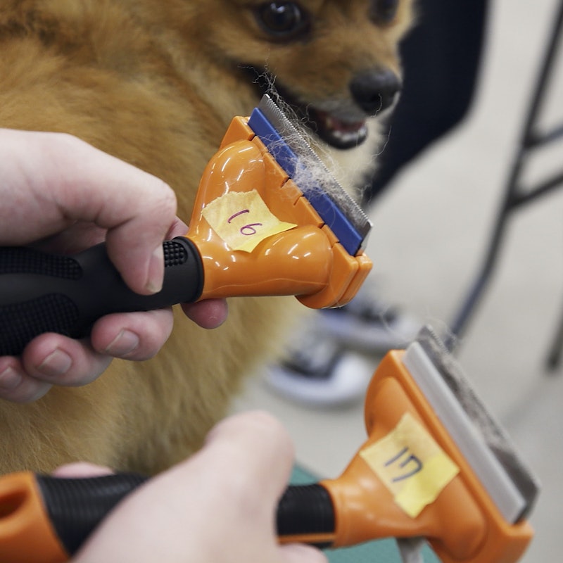 ファーミネーター 中型犬m短毛種用を全18商品と比較 口コミや評判を実際に使ってレビューしました Mybest ファーミネーター 中型犬m短毛種用を全18商品と比較 口コミや評判を実際に使ってレビューしました Mybest