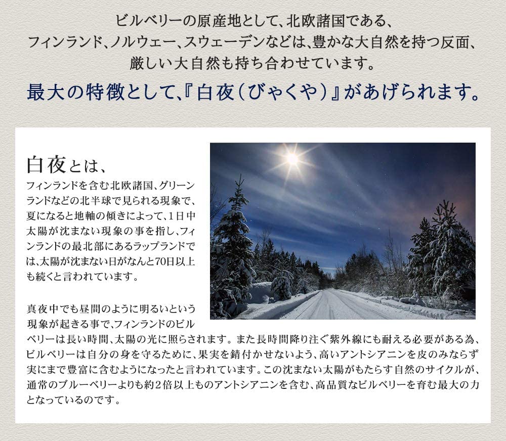 ビルベリー 6