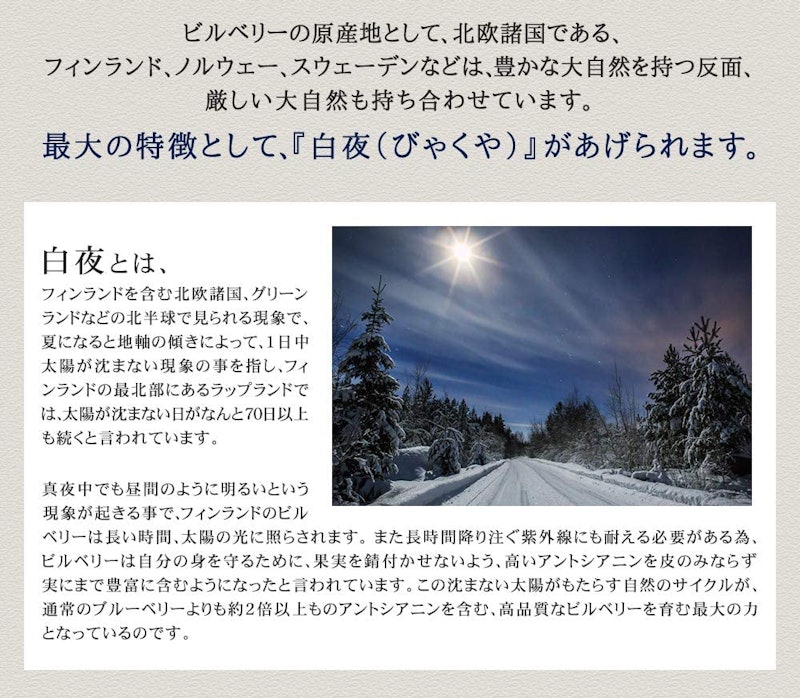 ビルベリー 6