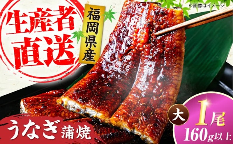 国産うなぎ 蒲焼き 1