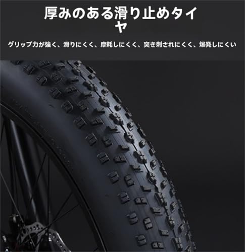 ファットバイク 2