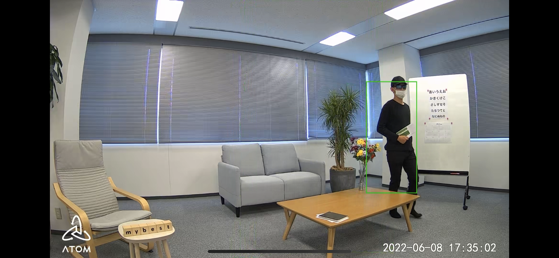 ATOM Cam Swing 2