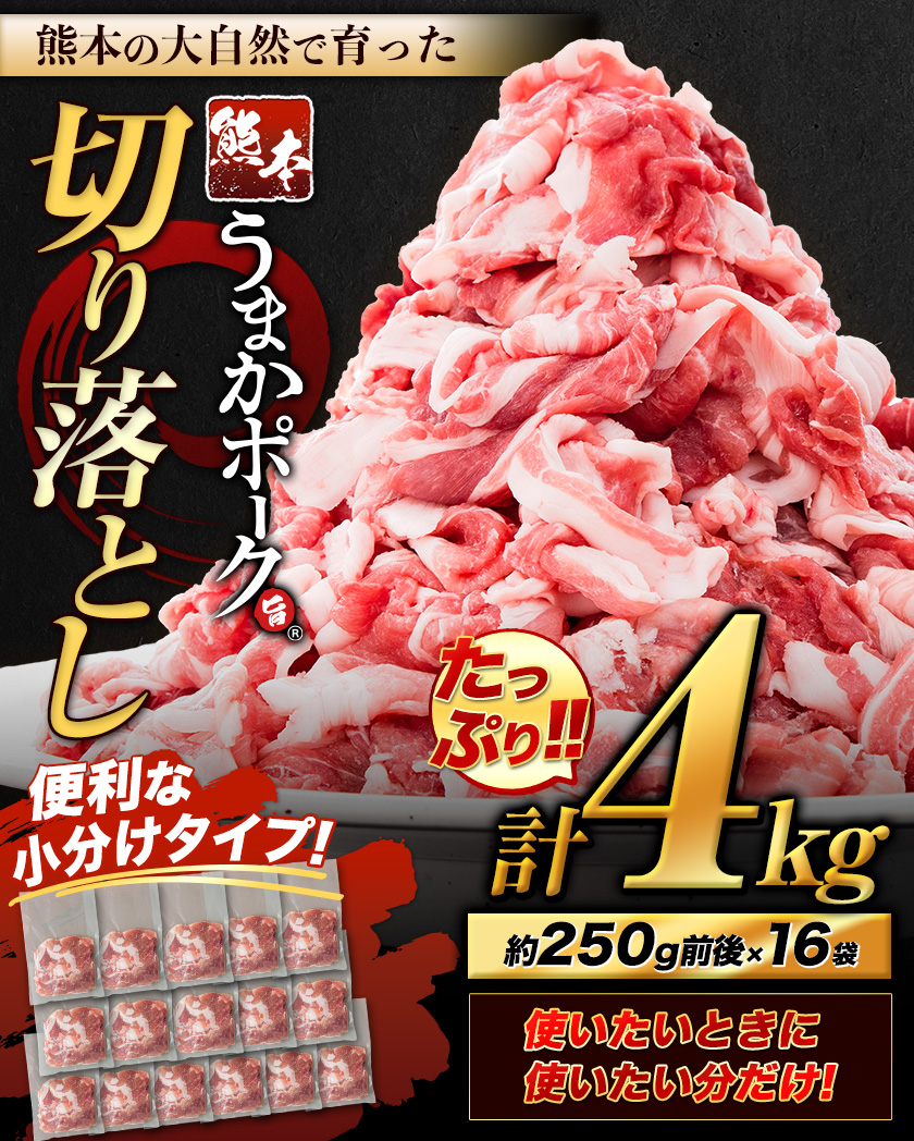 熊本うまかポーク 切り落とし 1