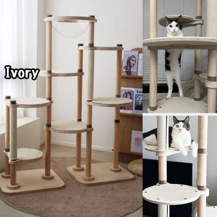 キャットタワー 10