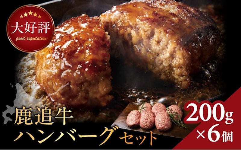 鹿追牛ハンバーグセット 1