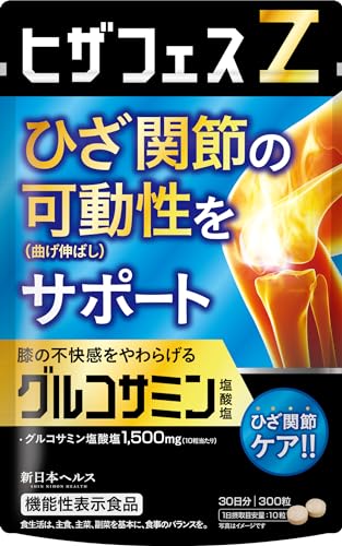  ヒザフェスZ 1