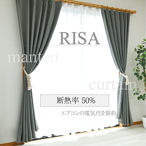 RISA 5
