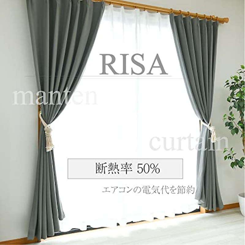 RISA 5