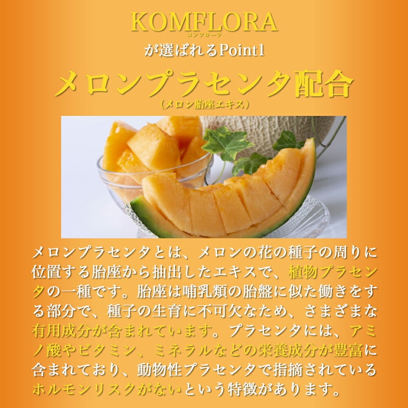 KOMFLORA KOMBUCHA 4