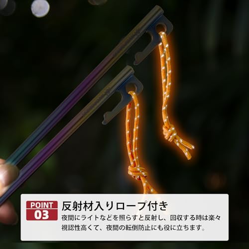 チタンペグ 3