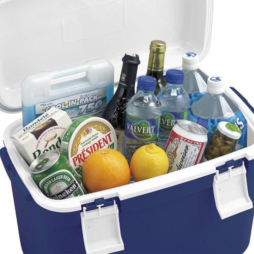 22年 小型のクーラーボックスのおすすめ人気ランキング17選 Mybest