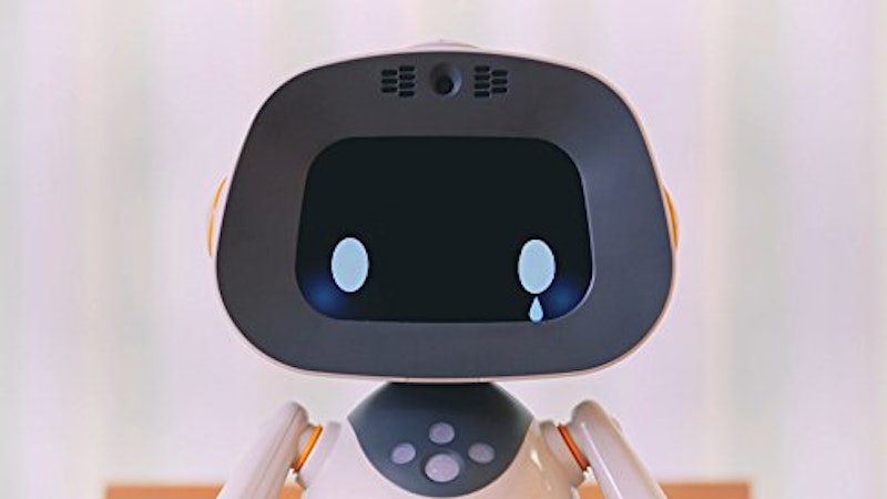 unibo 7
