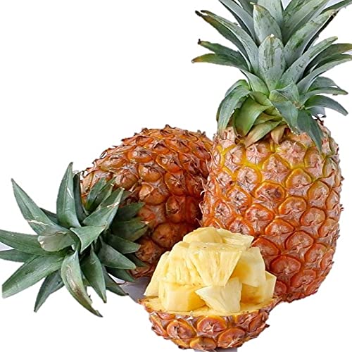お取り寄せパイナップルのおすすめ人気ランキング10選 Mybest
