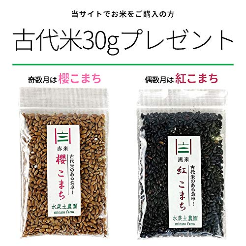 きぬのはだ もち米 2