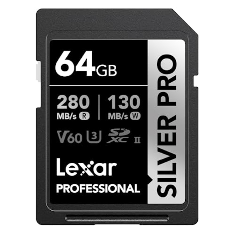 Professional SILVER PRO SDXC UHS-II Card 1