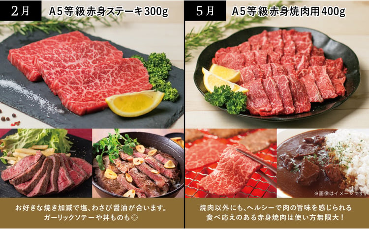 A5等級鹿児島産黒毛和牛赤身定期便　　 2